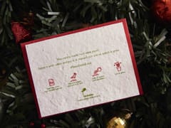 Plantables-Greeting Card Berry Merry