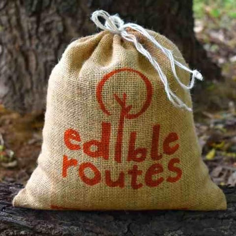 Edible Routes-Bajra (Pearl millets)