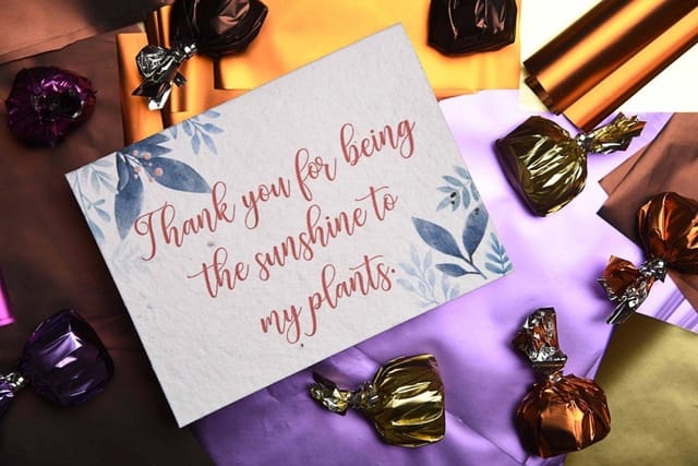 Plantables-Thank you for being the sunshine to my plants