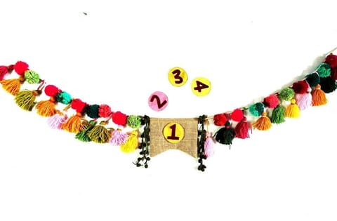 Use Me Works-Zero Waste Birthday Decor ( with detachable number tags)