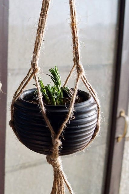 Terracota by Sachii "Hanging Planter Set of 2"