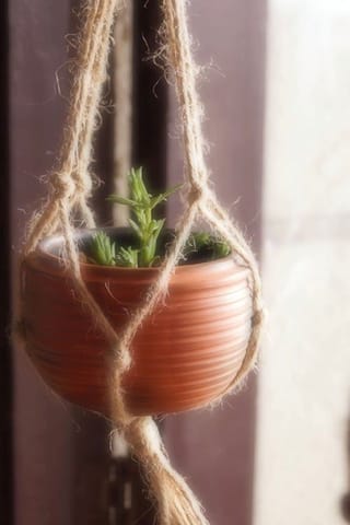 Terracota by Sachii "Hanging Planter Single"
