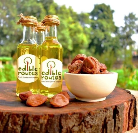 Edible Routes-Cold Pressed Apricot Kernel Oil