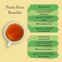 Lush Vitality Prana Rasa Immunity Blend Tisane Kit