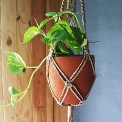 Craftlipi-CLASSIC Terracotta Planter with Jute Macrame Hanger Design1