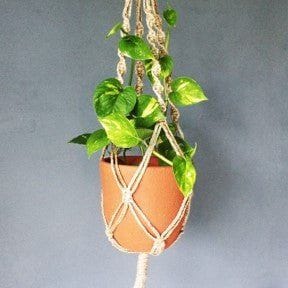 Craftlipi-CLASSIC Terracotta Planter with Jute Macrame Hanger Design 2