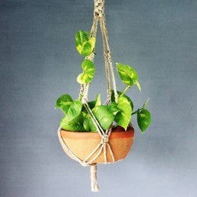 Craftlipi-SHALLOW Terracotta Planter with Jute Macrame Hanger