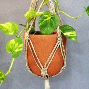 Craftlipi-Classic Terracotta Planter with Jute Macrame Hanger Design 3