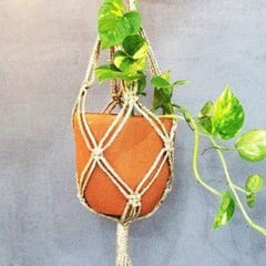 Craftlipi-Classic Terracotta Planter with Jute Macrame Hanger Design 4