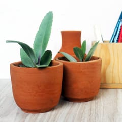 Craftlipi-DIY Painting & Planting Kit for Kids