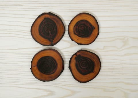 The Beehive India Raw & Organic Coasters - Made of Babool Wood Cross Section