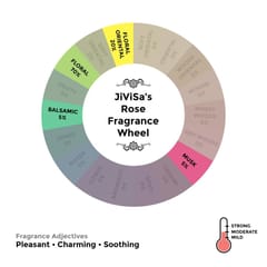 JiViSa-Rose Soy Wax Glass Jar Candle
