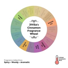 JiViSa-Cinnamon Soy Wax Glass Jar Candle