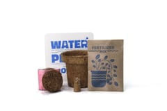 bioQ Mini Grow Pro Round grow it's self