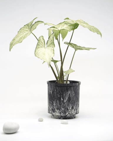 Minus Degre - Eco-Planter I Black Luxe I Recycled