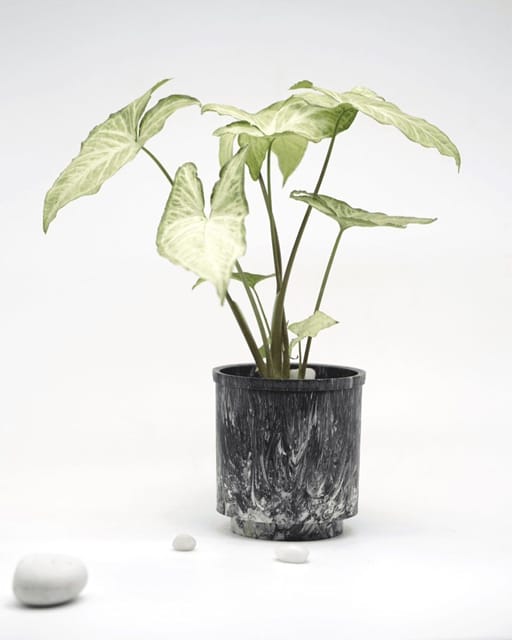 Minus Degre - Eco-Planter I Black Luxe I Recycled