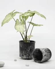 Minus Degre - Eco-Planter I Black Luxe I Recycled