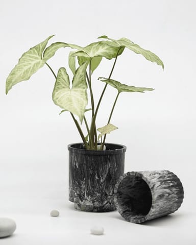 Minus Degre - Luxe Eco-Planter I Set of 2