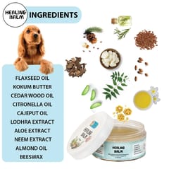 Papa Pawsome - 100% Natural Healing Balm for Dog, 30gms
