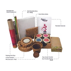 BioQ - Goodness Gift Hamper | Sustainable Diwali Gift Hamper