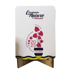BioQ - Utsav Gift Hamper| Sustainable Diwali Gift Hamper