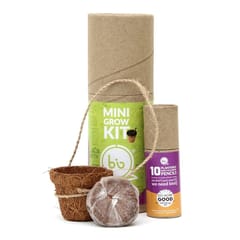 bioQ Eco Friendly Plantable Mini Grow Kit Set (Kids Special) : Grow Kit with Mini Coco Pot Planter and Coco Peat & Plantable Mini Colouring Pencils