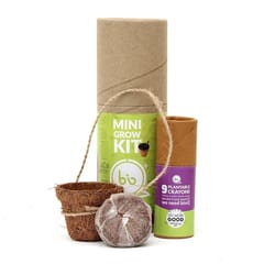 bioQ Eco Friendly Plantable Mini Grow Kit Set (Kids Special) : Grow Kit with Mini Coco Pot Planter and Coco Peat & Plantable Crayons