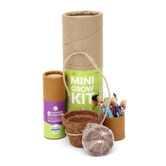 bioQ Eco Friendly Plantable Mini Grow Kit Set (Kids Special) : Grow Kit with Mini Coco Pot Planter and Coco Peat & Plantable Crayons