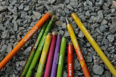 bioQ Box of 50 Plantable Seed Pencils | Eco Friendly Gift Box | Recycled Paper Bulk Packaging | Grow Plants from Pencils