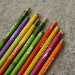 bioQ Box of 50 Plantable Seed Pencils | Eco Friendly Gift Box | Recycled Paper Bulk Packaging | Grow Plants from Pencils