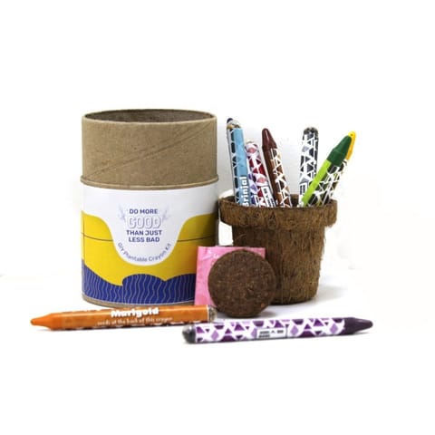 bioQ Earthling GIY Kit (Crayons) ‚ 9 Plantable Crayons, 2‚ Coco Pot & Peat, Boxed in a Recycled Paper Tube