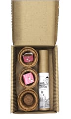 bioQ GrowSolo GIY Stationery Box - 5 Seed Pens, 2‚ Coco Pot and Peat (3 Sets), Recycled Paper, Folding Box