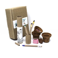 bioQ GrowSolo GIY Stationery Box - 5 Seed Pens, 2‚ Coco Pot and Peat (3 Sets), Recycled Paper, Folding Box