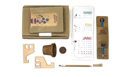 bioQ Green Days Solo GIY Calendar Box - Plantable Pen Pencil Combo, Plantable Calendar, 2‚ Coco Pot & Peat, Packed in Recycled Paper & Folding Box