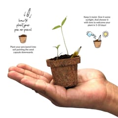 bioQ Eco-Friendly Mega Jute Kit | 1 Folder & Pouch (A4 size) + 2 Notepads (A5 size) + Combo of 5 Plantable Seed Pencils + 7 Eco Plantable Colouring Pens + 2 Mini Planting Sets | Eco Stationery Gift Set