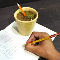 bioQ Box of 12 Plantable Seed Pencils | Eco Friendly Gift Box for Kids | Recycled Paper Packaging | Grow Plants From Pencils