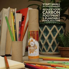 bioQ Box of 12 Plantable Seed Pencils | Eco Friendly Gift Box for Kids | Recycled Paper Packaging | Grow Plants From Pencils