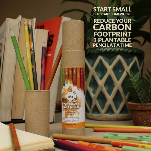 bioQ Box of 12 Plantable Seed Pencils | Eco Friendly Gift Box for Kids | Recycled Paper Packaging | Grow Plants From Pencils