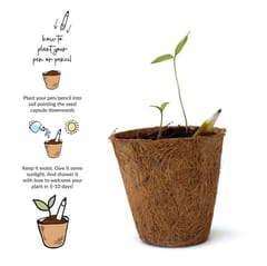 biQ Plantable Pen Pencil Combo with Hand-Made Seed-Paper Notepad - 4 Seed Pens + 4 Seed Pencils - Sustainable Gift Set in Netted Jute Bag