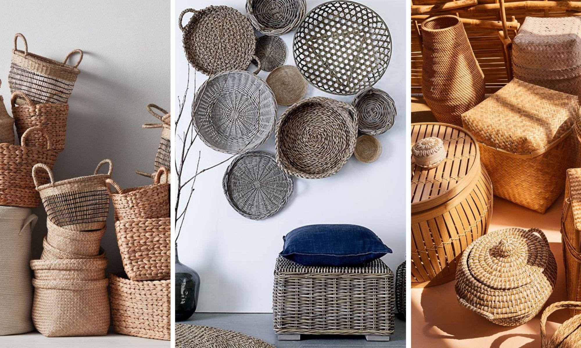 The Art of Basketry & India’s Indigenous Grasses