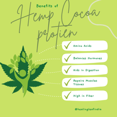Healing leaf - Hemp Cocoa Powder - 100gm