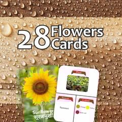 Clapjoy Flowers  flash card for kids of age 2 years and Above