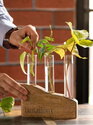 https://cdn.shopify.com/s/files/1/0089/7672/8119/products/timber-grove-trio-table-top-wooden-glass-tube-planter-lazygardener-729167.jpg?v=1682274569