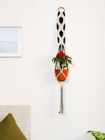https://cdn.shopify.com/s/files/1/0089/7672/8119/products/yin-yang-macrame-hanger-lazygardener-143519.jpg?v=1682274503
