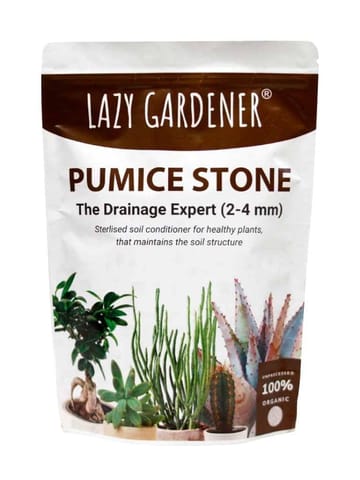 https://cdn.shopify.com/s/files/1/0089/7672/8119/products/drainage-expert-pumice-stone-for-plants-pumice-stone-lazygardener-521745.jpg?v=1671802936