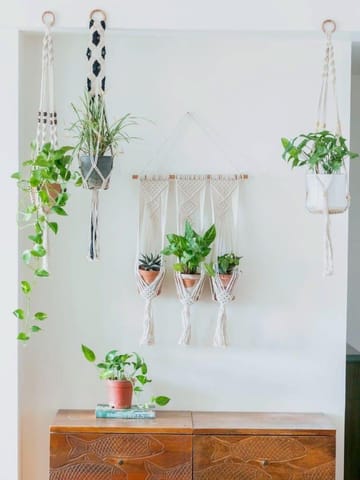https://cdn.shopify.com/s/files/1/0089/7672/8119/products/macrame-plant-hanger-combo-4-lazygardener-934812.jpg?v=1669807179