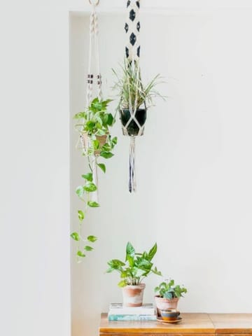 https://cdn.shopify.com/s/files/1/0089/7672/8119/products/macrame-plant-hanger-combo-2-lazygardener-350913.jpg?v=1669807152