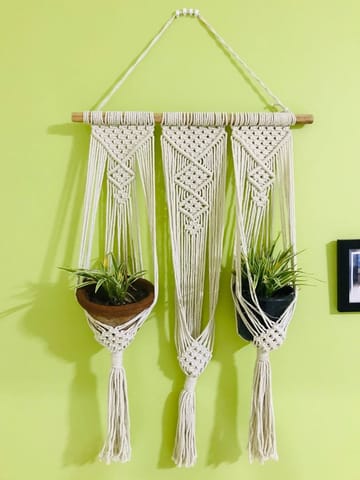 https://cdn.shopify.com/s/files/1/0089/7672/8119/products/spider-plant-macrame-hanger-lazygardener-tai-chi-macrame-192250.jpg?v=1656422026