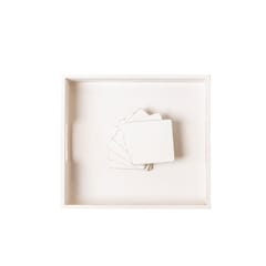 IVEI Tray and Coaster-Set of 6 (with Primer)