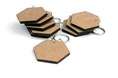 IVEI Hexagon Key chains - Set of 20